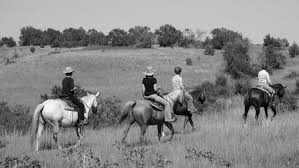 Image result for Almond Riding Club