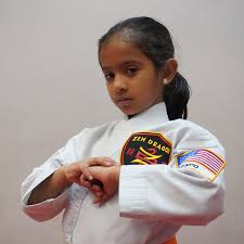 Image result for Zen Shin Seicho Do Adult Karate