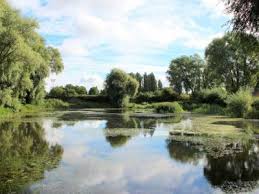 Image result for Hull & District Anglers' Association