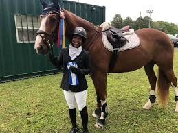 Image result for South Weylands Equestrian