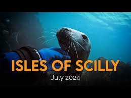 Image result for Barnsley BSAC Divers