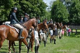 Image result for Shey Copse Riding Centre
