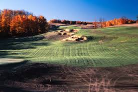 Image result for Kingsley Cricket Club