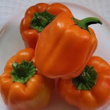 Afbeeldingsresultaat voor californian wonder golden sweet pepper