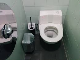 Image result for german toilet