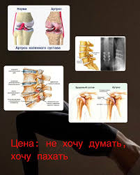 Картинки по запросу белку зажевало в диск