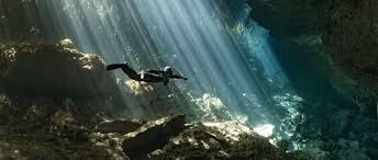 Image result for innerspace divers