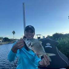 Image result for Eugerres plumieri