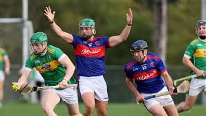Image result for Erin`s Own Gaelic Athletic & Social Club