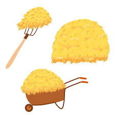 Image result for 붶