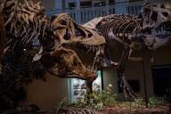 Carnegie Museum of Natural History – One of the Four Carnegie ...