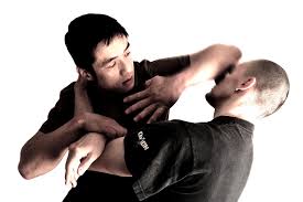 Image result for Kamon Wing Chun