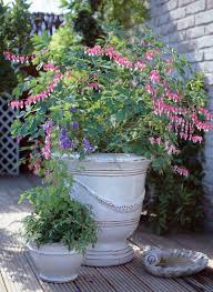 Image result for tränendes Herz