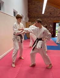 Image result for Ynys Mon Shukokai Karate Club, North Wales