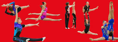 Image result for Harriers Acrobatic Gym Club