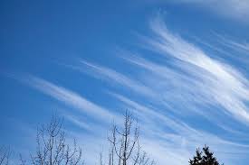 Attēlu rezultāti vaicājumam “Cirrus fibratus”