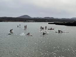 Image result for Maidenhead Marlins Swimming Club