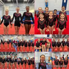 Image result for Charisma Gymnastics Club