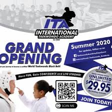Image result for International Tae Kwon Do Academy