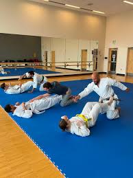 Image result for Uwe Karate Club