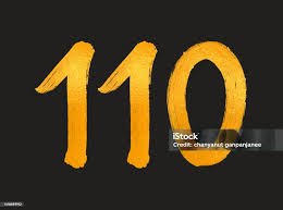 Image result for 110