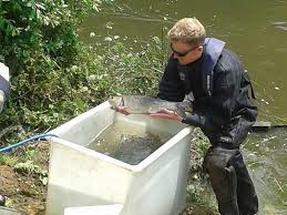Image result for Plough Angling Society