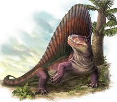 Attēlu rezultāti vaicājumam “Diderma roanense”