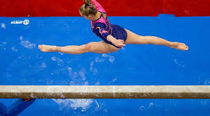 Image result for Pegasus Trampoline Club