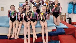 Image result for Farnham Gymnastics Club