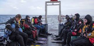 Image result for St Albans Underwater Hockey Club