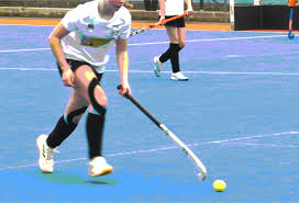 Image result for Wallingford Hockey Club