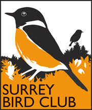 Image result for England Staffordshire Birding Club