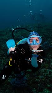 Image result for Manta Divers Sub-Aqua Club