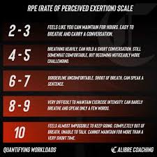 Image result for Calibre Performance Coaching