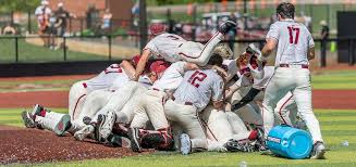 Image result for Hessle Baseball Club