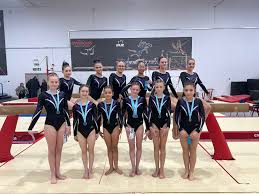 Image result for Spalding & District Gymnastics Club