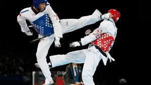 Image result for Bytomic Tae Kwon Do Chalfont St Peter