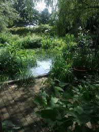 Image result for Priona Tuinen