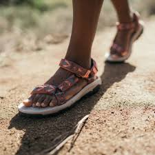 Image result for www.teva.es