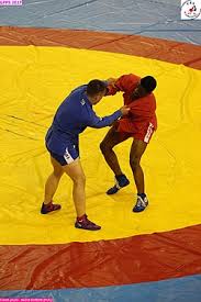Image result for Combat Sambo
