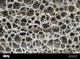 Image result for Scottish Rocks