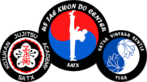Image result for Absolute tae kwon do association