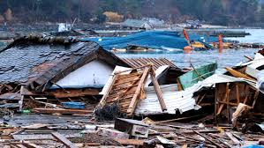 Image result for 耐震 大津波無力