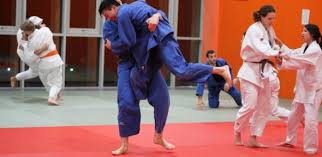 Image result for Redbridge Judo Club