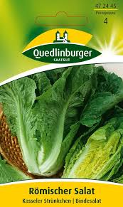 Image result for Römischer Salat