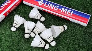 Image result for Lings Badminton Club