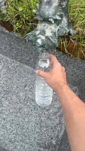 Image result for 水野X68仁義