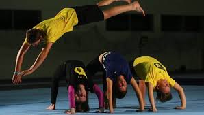 Image result for Northern Gymnastics Club CIC
