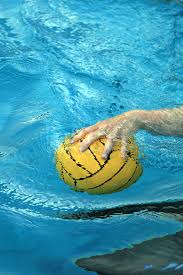 Image result for Sedgefield 75 Swimming Club