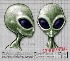 images?q=tbn:ANd9GcR_uZF2Q7Bebt8VME9ERAPGs_bmX2eleAk-5nnP8Ho9zsIHfI7NyA